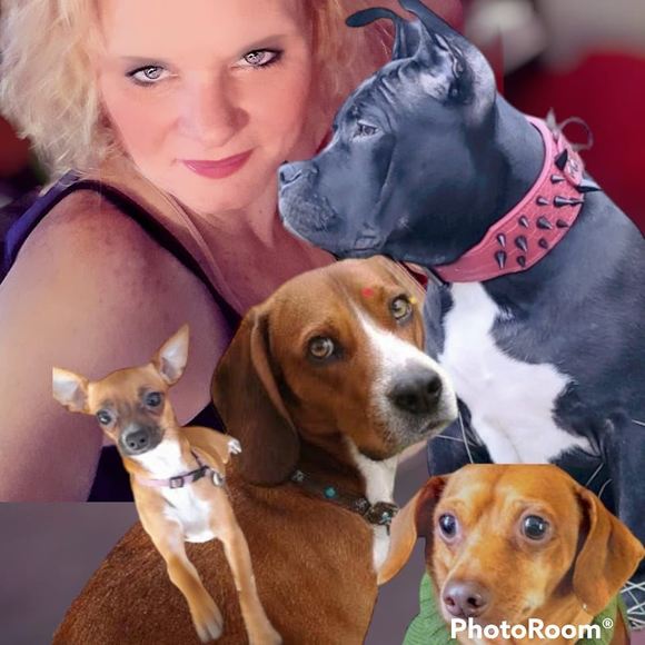 Meet your Posher, Christina - Picture 1 of 1